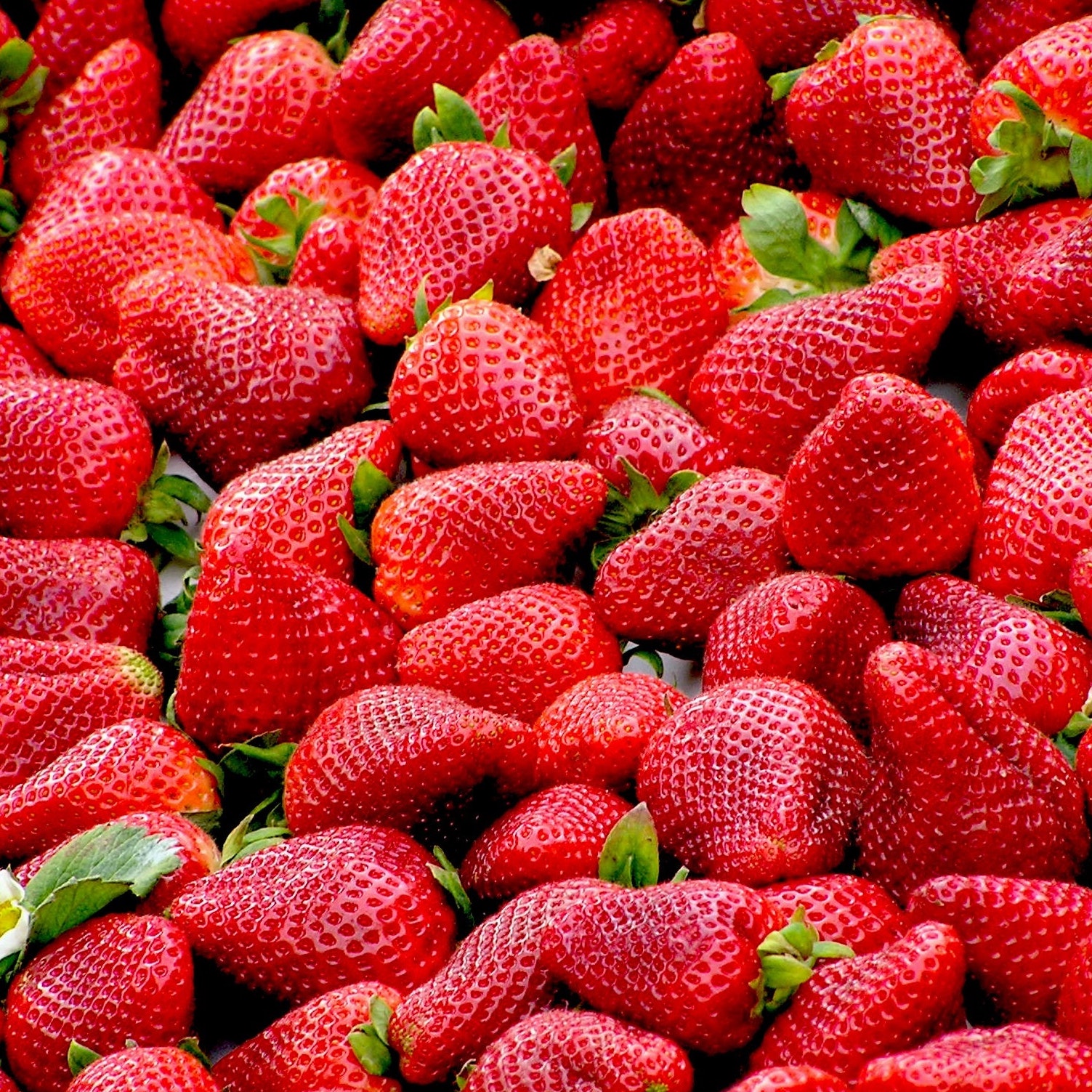 red-strawberries-fruit-royalty-free-70746
